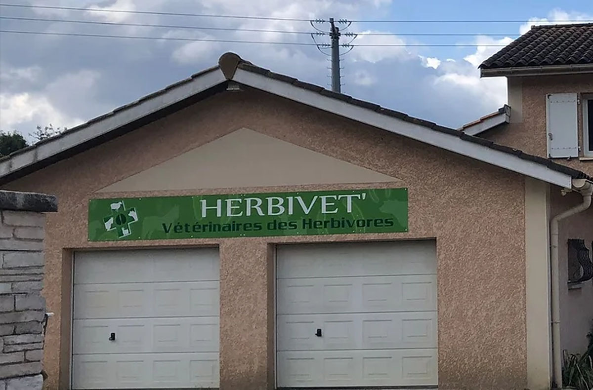 Morbi vitae purus dictum, ultrices tellus in, gravida lectus. 